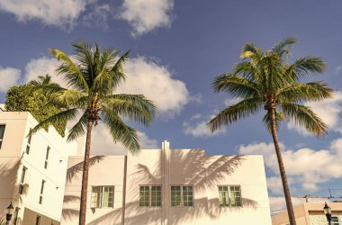 Okyanus yolculuğu. Ocean Drive 'daki Miami South Beach. Art Deco mimarisi. Mimari bina. Art deco mimari bölgesi. Art Deco. Miami sahilinin modern binası. Modern ev.