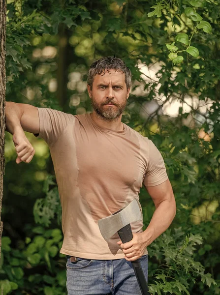 Terli adam rahatla. Baltalı yakışıklı bir adam. Ormanda baltayla oduncu. Keresteci gömlekli ve baltası ağır. Güçlü adam ormanda çalışır. Ormanda baltalı oduncu adamlar. Oduncu baltayı taşıyor..