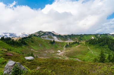 Bulutlu gökyüzü olan vadi manzarası. Yeşil Tepe Dağı manzaralı. Seyahat güzergahı. Vahşi dağda, orman ve yeşil yamaçlarla nefes kesici bir yaz. Geniş çayırlı dağ manzarası.