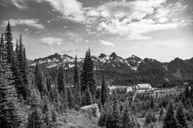 Manzara kozalaklı orman. Yeşil vadi manzarası. Çayırın doğa manzarası. Vadi ve dağ manzarası. Dağ vadisi. Ormanlı çam ağacı dağı manzarası. Görkemli dağ manzarası.