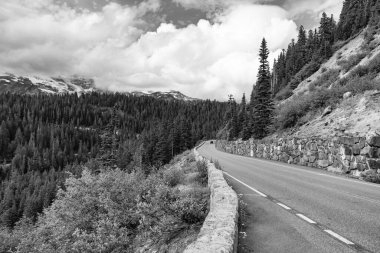 Dağ manzaralı bir yol. Dağ ve yol manzarası. Seyahat güzergahı. North Cascades Ulusal Parkı 'na peyzaj rotası. Sahne doğası. Kuzey Şelaleleri Ulusal Parkı. Vahşi macera.