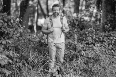 Kırsalda yürüyüş yapan bir adam. Ormandaki İspanyol adam. Ormanda yürüyüş yapan sırt çantalı bir yürüyüşçü. Erkek yürüyüşçü ormanda yürüyor. Sırt çantalı bir gezgin. Yürüyüş macerası. Seyahat yaşam tarzı.