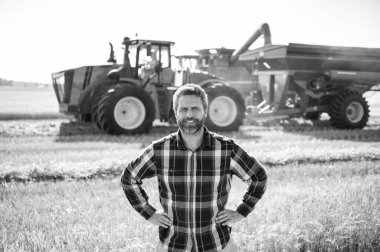 Çiftçi buğdayı kontrol ediyor. Hasat zamanı tarım buğdayı. Kırsal kesim. Tarlada hasat yapan çiftçi adam. Olgun tarım. Sahadaki hasatçıyı. Çiftçi tarım uzmanı. Ekin hasadı. Kırsal adam.