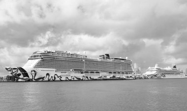 Miami, Florida, ABD - 03 Kasım 2024: Norveç yolcu gemisi yolculuğu. Yaz tatilinde gemi turu. Norveçli gemi şirketi. Gemi turu ve deniz seyahati. NCL Gemisi.