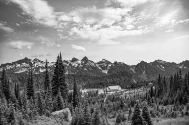 Çam ağacı ve ormanlı dağ manzarası. Manzara kozalaklı orman. Yeşil vadi manzarası. Çayırın doğa manzarası. Valley Dağı 'nın manzarası. Dağ vadisi. Huzurlu kırsal manzara.