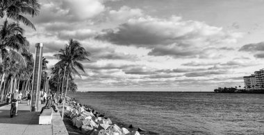 Miami, Florida, ABD - 09 Aralık 2024: Miami, Florida 'da yaz dönemi boyunca günbatımı deniz manzaralı South pointe parkı. Boşluk afişini kopyala.