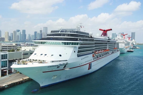 Cruiseschepen in de haven van Miami — Stockfoto