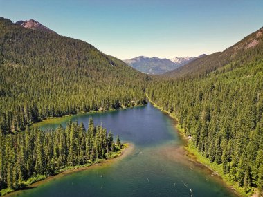 Cooper Gölü 'nün dağ ve orman manzarası. Doğa manzarası. Washington 'daki Cooper Gölü. Cooper Gölü 'nün popüler doğa yürüyüşü. Cooper gölü ve dağ manzarası. Görkemli dağlar.