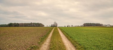Çiftlik arazisinden geçen kırsal yol. Kırsal kesimden kırsal kesime. Kırsal kesimde toprak yol. Manzaralı yol. Tarlada köy yolu. Köyden köye giden yol. Düz kır yolu ve saha doğası.
