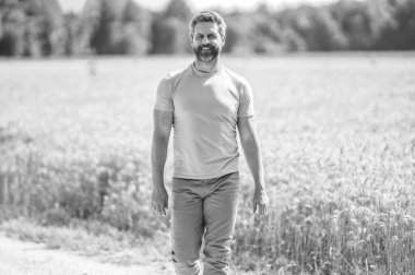 İspanyol çiftçi tarla hasadını kontrol ediyor. Tarımcı çiftçi adam. Ürün koruması. Tarım çiftliği. Buğday tarlasında çiftçi. Hasat ve çiftçilik. Tarlada çiftçi.