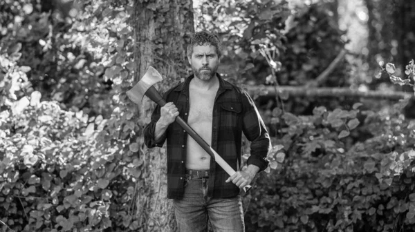 Vahşilik ve erkeklik. İspanyol adam baltayla kütük kesiyor. Oduncu baltası. Ağaç kesen baltalı adam. Çalışkan, acımasız adam. Keresteci adam dışarıda. Acımasız oduncu..