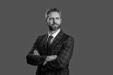 Başarılı iş adamı takım elbiseli, olgun iş adamı patron Grey 'de izole edilmiş..