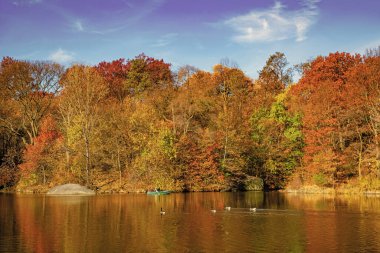 Sonbahar manzarası. Göletteki tekne. Sonbahar doğa manzarası. Central Park 'ta sonbahar doğası. Mevsimlik sonbahar manzarası. Sonbahar göletine park teknesi. Manzaralı düşüş. Sonbaharda Central Park 'ta. Central Park su yolu.