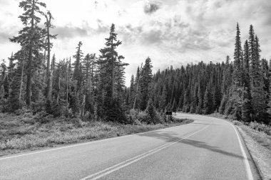 Yol, dağ manzaralı Diablo Gölü 'ne çıkar. Dağ ve yol manzarası. Seyahat güzergahı. North Cascades Ulusal Parkı 'na peyzaj rotası. Sahne doğası. Kuzey Şelaleleri Ulusal Parkı.