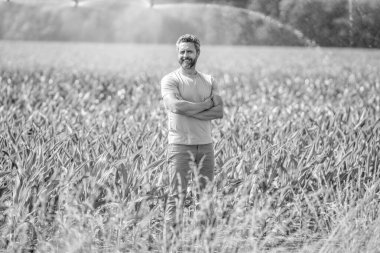 Su püskürtme sulama tarlası. Damlatma sulama sistemi. Ekin sulama. Tarım ve tarım. Sulama sisteminde tarımı sulayan bir adam. Çiftçi adam. Hidrofonik sebze çiftliği.