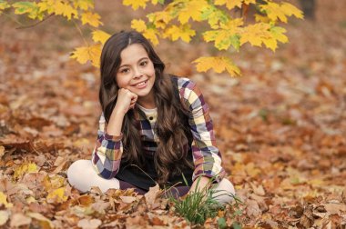 Gençler için sonbahar üniforması. Sonbahar üniformalı kız güz yaprakları içinde dışarıda oturuyor. Okul tatilinde şık bir genç kız. Okula dönelim. Sonbahar yaprakları. Sonbahar parkındaki kız üniforması giyiyor..