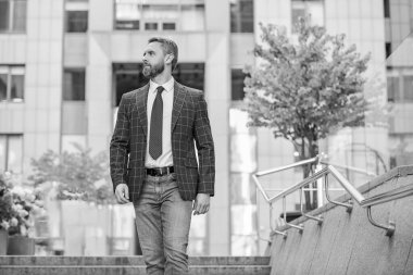 İş CEO 'su. Başarılı bir adam. Başarılı bir iş. Girişimcinin başarısı. Erkek bankacı. İş adamı görüşmeye gider. Takım elbiseli bir iş adamı. Kendine güvenen İspanyol işadamı..