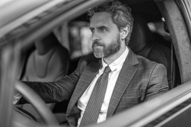 İspanyol işadamı. Başarılı bir bayilik. Lüks araba tüccarı. Araba sigortası. Başarılı bir satıcı. Satış ve sigorta. Lüks bir arabada oturan adam. İş günü işe gidip gelme.