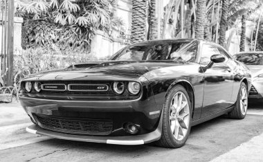 Miami, Florida, ABD - 20 Aralık 2024 Dodge Challenger GT arabası. Dodge Challenger GT tipi lüks bir araba. Dodge Challenger 'ın arabası dışarıda park edilmiş. Dodge Challenger, alçak görüş.