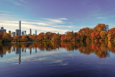 Sonbahar doğa manzarası. Central Park 'ta sonbahar doğası. Mevsimlik sonbahar manzarası. Sonbahar ağacını ve göleti New York 'a park et. Manzaralı düşüş. Sonbaharda Central Park 'ta. Göletli sonbahar manzarası. Sonbahar Ormanı.