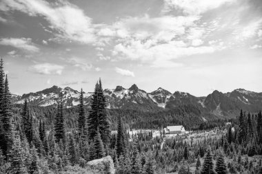 Dağ vadisi. Çam ağacı ve ormanlı dağ manzarası. Manzara kozalaklı orman. Yeşil vadi manzarası. Çayırın doğa manzarası. Vadi ve dağ manzarası. Şaşırtıcı doğal manzara..