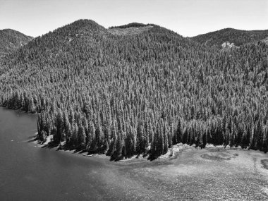 Washington 'daki Cooper Gölü. Cooper Gölü 'nün popüler doğa yürüyüşü. Cooper gölü ve dağ manzarası. Cooper Gölü 'nün dağ ve orman manzarası. Doğa manzarası. Dokunulmamış vahşi doğa..