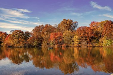 Sonbaharda Central Park New York Gölü 'nde insanların kürek çektiği bir yer. Central Park güneşli sonbahar gününde renk değiştiriyor. Sonbahar manzarası. Sonbahar doğası. Central Park 'ta küçük bir gölde kayık. Tekne.