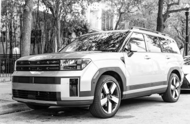 Miami, Florida, ABD - 08 Aralık 2024 Hyundai Santa Fe HEV Limited Cip. Hyundai Santa Fe HEV tipi bir araba. Hyundai 'nin arabası dışarıda park edilmiş. Hyundai Santa Fe, köşe manzaralı.