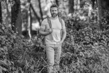 Ormanda yürüyüş yapan sırt çantalı bir yürüyüşçü. Erkek yürüyüşçü ormanda yürüyor. Gezgin yürüyüşünün sırt çantası var. Yürüyüş macerası. Seyahat yaşam tarzı. Kırsalda yürüyüş yapan bir adam. Ormandaki İspanyol adam. Doğa yürüyüşü.