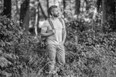 Erkek yürüyüşçü ormanda yürüyor. Sırt çantalı bir gezgin. Yürüyüş macerası. Gezinti. Kırsalda yürüyüş yapan bir adam. Ormandaki İspanyol adam. Ormanda yürüyüş yapan sırt çantalı bir yürüyüşçü. Sırt çantası yolculuğu.