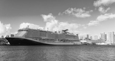 Miami, Florida, ABD - 03 Kasım 2024 Yaz Tatili Seyahati. Karnaval Gemi Hattı. Gemi turu ve deniz seyahati. Gemi Miami turu. Karnaval Gezi Gezisi Gezisi Kutlaması.