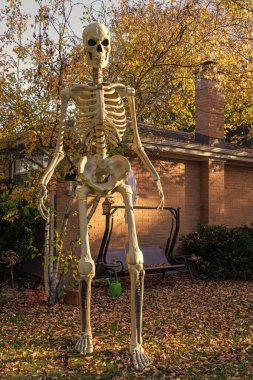 Ölüm günü. Ölü Cadılar Bayramı iskeleti. Şeker mi şaka mı? Cadılar Bayramı 'nın tüm bayramlarını kutlayın. Tüm Cadılar Bayramı. 31 Ekim. Cadılar Bayramı iskeleti dışarıda. Mutlu Cadılar Bayramı. İskeletin ürkütücü kafatası.