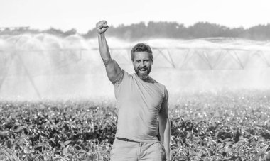 Damlatma sulama sistemi. Ekin sulama. Tarım ve tarım. Sulama sisteminde tarımı sulayan bir adam. Kırsal kesimde bir çiftçi. Su püskürtme sulama tarlası. İşçi Bayramı.