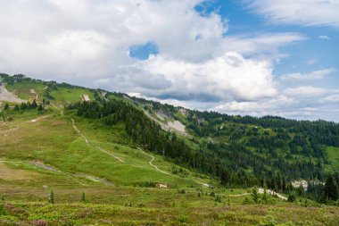 Yeşil Tepe Dağı manzaralı. Seyahat güzergahı. Vahşi dağda, orman ve yeşil yamaçlarla nefes kesici bir yaz. Çayırlı dağ manzarası. Bulutlu gökyüzü olan vadi manzarası. Macera yeri.