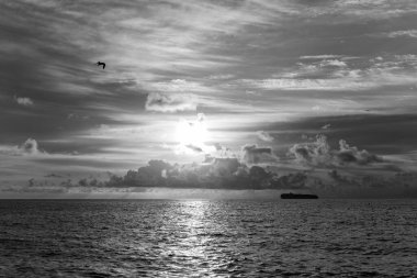 Yaz tatilinde bulutlu gün batımı gökyüzü ve deniz manzarası. Deniz gündoğumuyla gökyüzü. Deniz doğasında güzel bir ufuk. Sahilde romantik bir yaz tatili. Gün doğumu gökyüzü ufku. Deniz batımı görünümü.