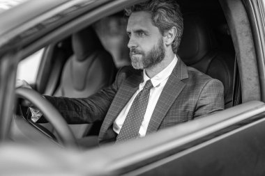 Lüks araba tüccarı. Araba sigortası. Başarılı bir satıcı. Satış ve sigorta. Lüks bir arabada oturan adam. İspanyol işadamı. Başarılı bir bayilik. Şirket seyahati.