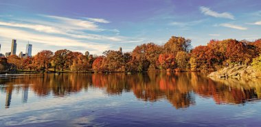 Sonbahar ağacını ve göleti New York 'a park et. Manzaralı düşüş. Sonbaharda Central Park 'ta. Göletli sonbahar manzarası. Sonbahar doğa manzarası. Central Park 'ta sonbahar doğası. Mevsimlik sonbahar manzarası. Sonbahar manzarası.
