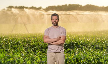 Tarım tarlasını sulayan sulama sisteminde olgun bir adam. Kırsal kesimde bir çiftçi. Su püskürtme sulama tarlası. Damlatma sulama sistemi. Ekin sulama. Tarım ve tarım.