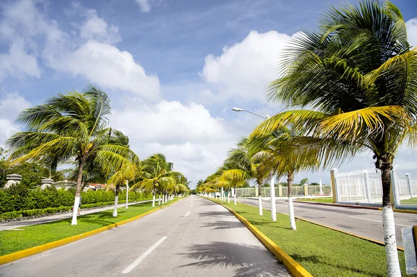 Autopista Cozumel México — Foto de Stock