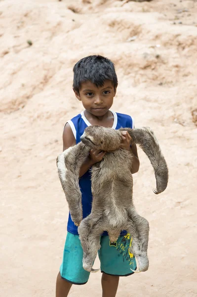 Boy holding sloth Stock Picture