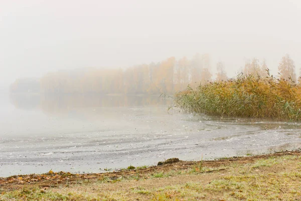 Lake Fall Fog — Stock Photo, Image