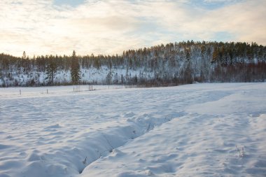 Noel hediyesini açarken kapat.