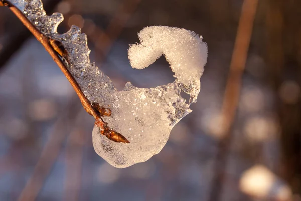 Nahaufnahme Bei Der Eröffnung Des Weihnachtsgeschenks — Stockfoto