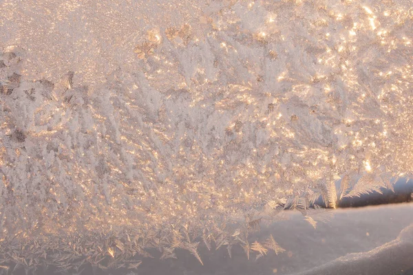 Goldener Sonnenaufgang Durch Frost — Stockfoto