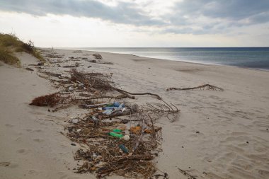 Plajda çöp ve plastik şişeler