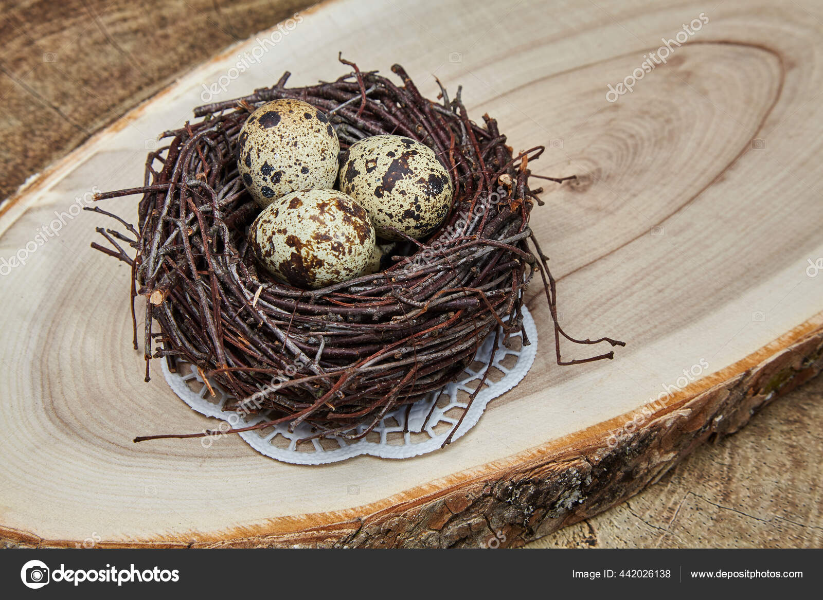 Telur Burung Puyuh In English