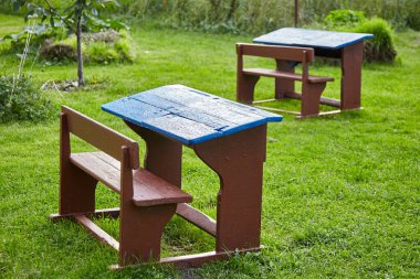 Yeşil çimenlikteki eski moda okul sıraları. Okul konseptine dönelim.