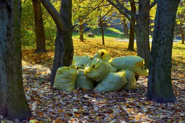 Plastik poşetler ve kuru yapraklar sonbahar parkına istiflenmiş.