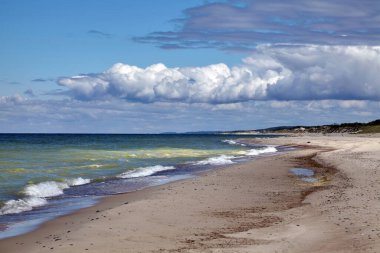 Deniz yosunları çiçek açar. Suyun yüzeyinde parlıyor.