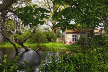 Gölün kıyısında terk edilmiş eski bir ev..